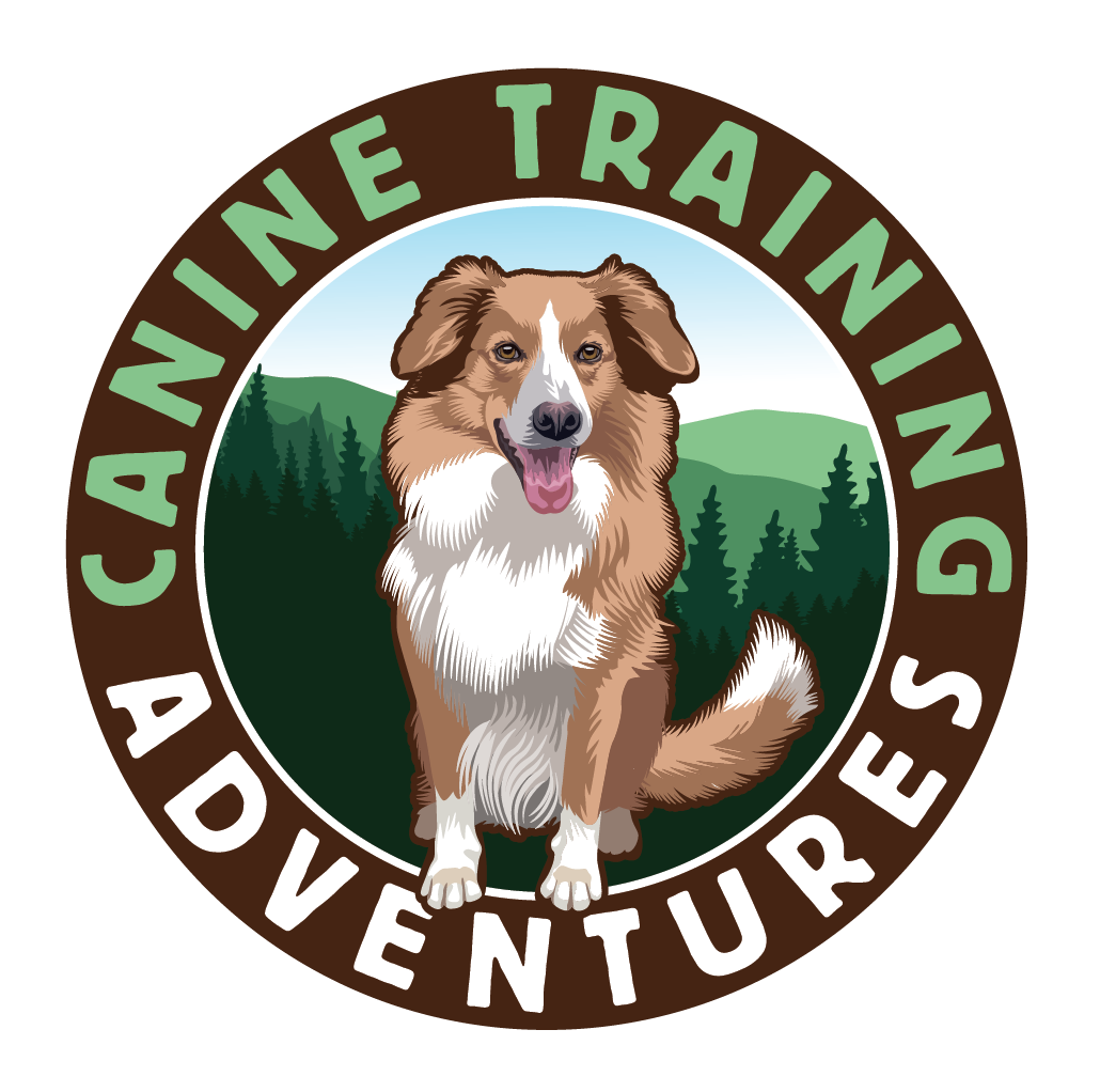 Canine Training Adventures