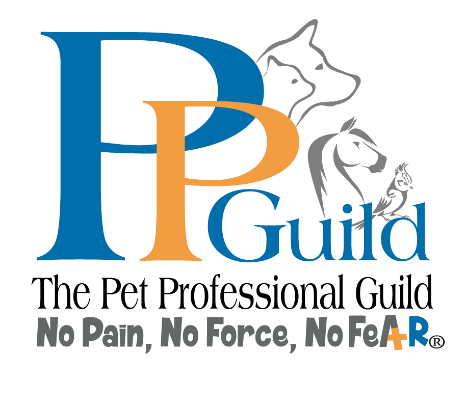PPG Logo