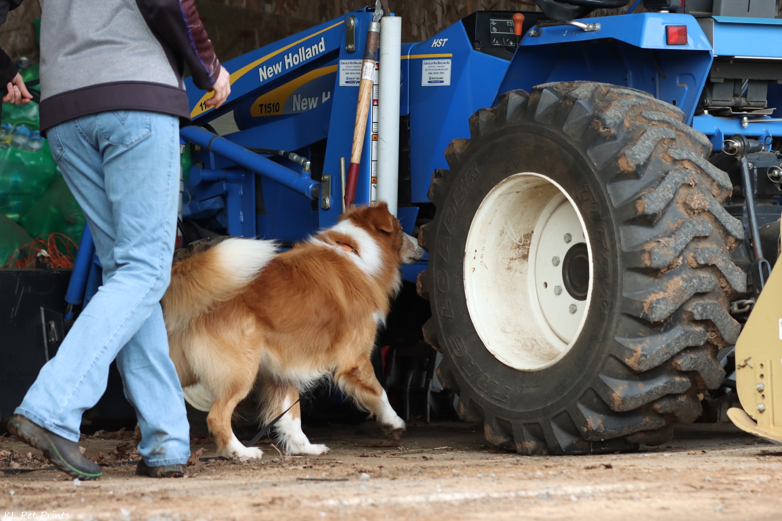 Odor on The Farm