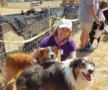 English Shepherd Gathering