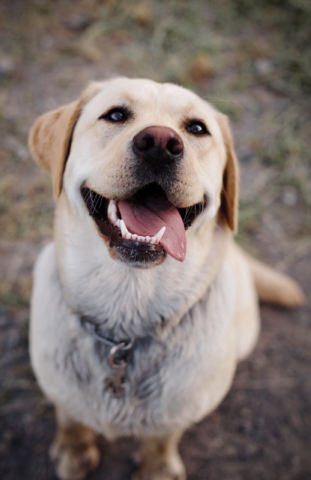 noemi-macavei-katocz-1062076-unsplash